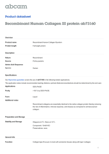 Recombinant Human Collagen III protein ab73160 Product datasheet Overview Product name