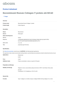 Recombinant Human Collagen V protein ab158160 Product datasheet 1 Image Overview
