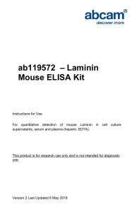ab119572  – Laminin Mouse ELISA Kit