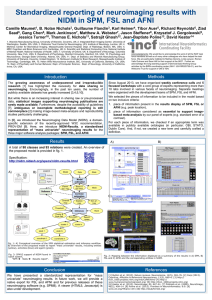 Standardized reporting of neuroimaging results with