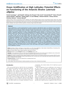 Laternula elliptica Ocean Acidification at High Latitudes: Potential Effects