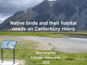 Native birds and their habitat needs on Canterbury rivers Ken Hughey Lincoln University