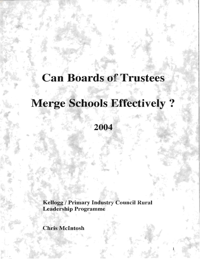 Can Boards Trustees Merge Schools Effectively