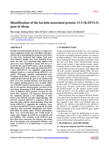 Identification of the keratin-associated protein 13-3 (KAP13-3) gene in sheep  Hua Gong