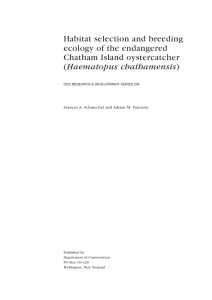 Habitat selection and breeding ecology of the endangered Chatham Island oystercatcher Haematopus chathamensis