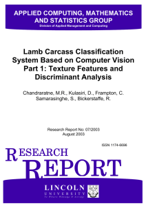 Lamb Carcass Classification System Based on Computer Vision Discriminant Analysis