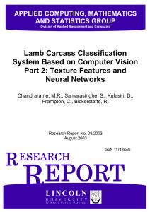 Lamb Carcass Classification System Based on Computer Vision Neural Networks