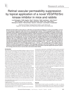 Retinal vascular permeability suppression by topical application of a novel VEGFR2/Src