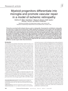 Myeloid progenitors differentiate into microglia and promote vascular repair