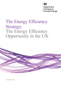 The Energy Efficiency Strategy: Opportunity in the UK November 2012