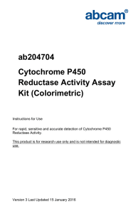 ab204704 Cytochrome P450 Reductase Activity Assay Kit (Colorimetric)