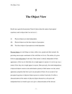 5 The Object View