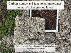 Carbon storage and functional importance in moss/lichen ground layers Oregon State University