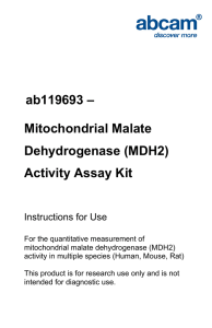 ab119693 – Mitochondrial Malate Dehydrogenase (MDH2) Activity Assay Kit