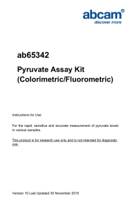 ab65342 Pyruvate Assay Kit (Colorimetric/Fluorometric)