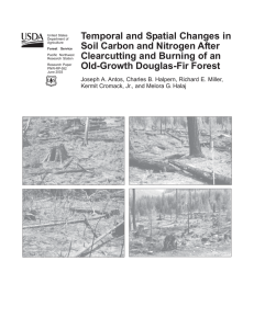 Temporal and Spatial Changes in Soil Carbon and Nitrogen After