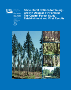 Silvicultural Options for Young- Growth Douglas-Fir Forests: The Capitol Forest Study—