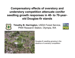 Compensatory effects of overstory and understory competition attenuate conifer