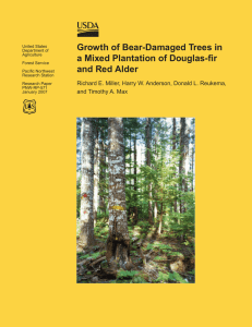 Growth of Bear-Damaged Trees in a Mixed Plantation of Douglas-fir