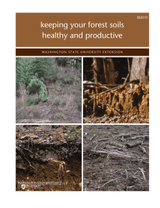 keeping your forest soils healthy and productive EB2019