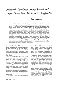 Phenotypic  Correlation  among  Branch  and