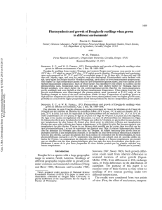 Photosynthesis and growth of Douglas-fir seedlings when grown in different environments