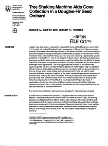 Tree Shaking Machine Aids Cone 1 Collection in a Douglas-Fir Seed Orchard