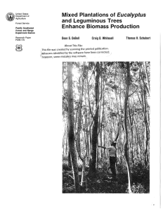 } Mixed  Plantations of  Eucalyptus and  Leguminous  Trees