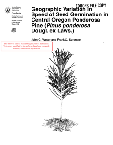 Geographic Var1at1on  1n Speed of Seed  Germination in