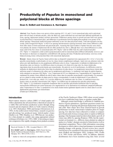 Populus polyclonal blocks at three spacings