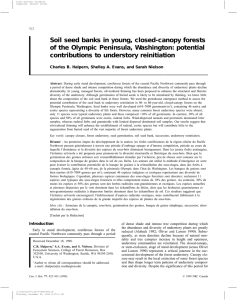 Soil seed banks in young, closed-canopy forests contributions to understory reinitiation