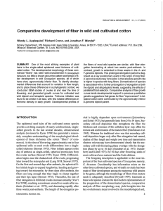 Comparative development of fiber in wild and cultivated cotton 353 5001 1-1020, 299,