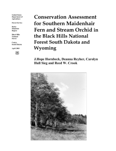 Conservation Assessment for Southern Maidenhair Fern and Stream Orchid in