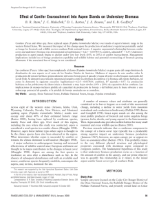 Effect of Conifer Encroachment Into Aspen Stands on Understory Biomass