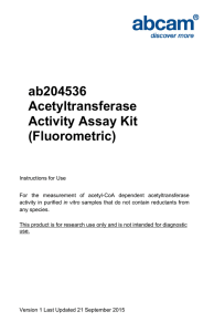 ab204536 Acetyltransferase Activity Assay Kit (Fluorometric)