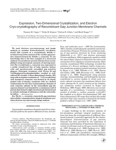 Expression, Two-Dimensional Crystallization, and Electron