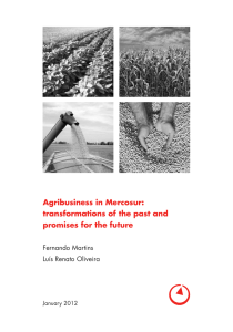 Agribusiness in Mercosur: transformations of the past and promises for the future