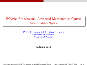 EC9A0: Pre-sessional Advanced Mathematics Course Slides 1: Matrix Algebra Autumn 2013