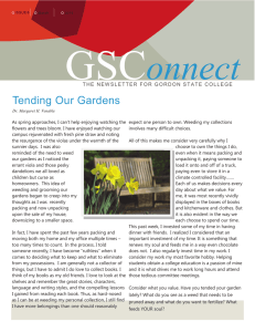 GSC onnect  Tending Our Gardens