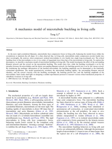 A mechanics model of microtubule buckling in living cells Teng Li
