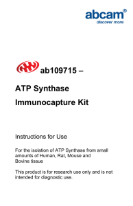 ab109715 – ATP Synthase Immunocapture Kit Instructions for Use