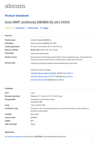 Anti-NNT antibody [8B4BB10] ab110352 Product datasheet 1 Abreviews 5 Images