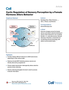 Cyclic Regulation of Sensory Perception by a Female Hormone Alters Behavior Article