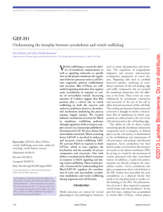 V distribute. GEF-H1 Orchestrating the interplay between cytoskeleton and vesicle trafficking