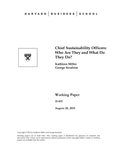 Chief Sustainability Officers: Who Are They and What Do They Do? Working Paper