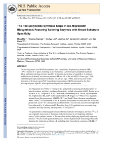 The Post-polyketide Synthase Steps in iso-Migrastatin