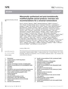 Ribosomally synthesized and post-translationally ﬁed peptide natural products: overview and modi