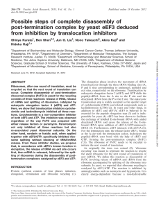 Possible steps of complete disassembly of from inhibition by translocation inhibitors