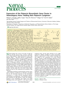 Expression of the Platencin Biosynthetic Gene Cluster in