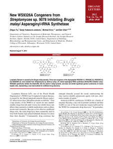 New WS9326A Congeners from Streptomyces sp. 9078 Inhibiting Brugia malayi Asparaginyl-tRNA Synthetase ORGANIC